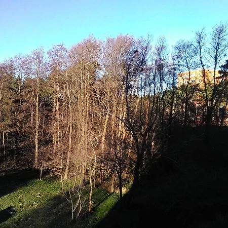 Апартаменты Seeperle 5, Stilvolle Fewo Mit Nordseeblick Санкт-Петер-Ординг Экстерьер фото