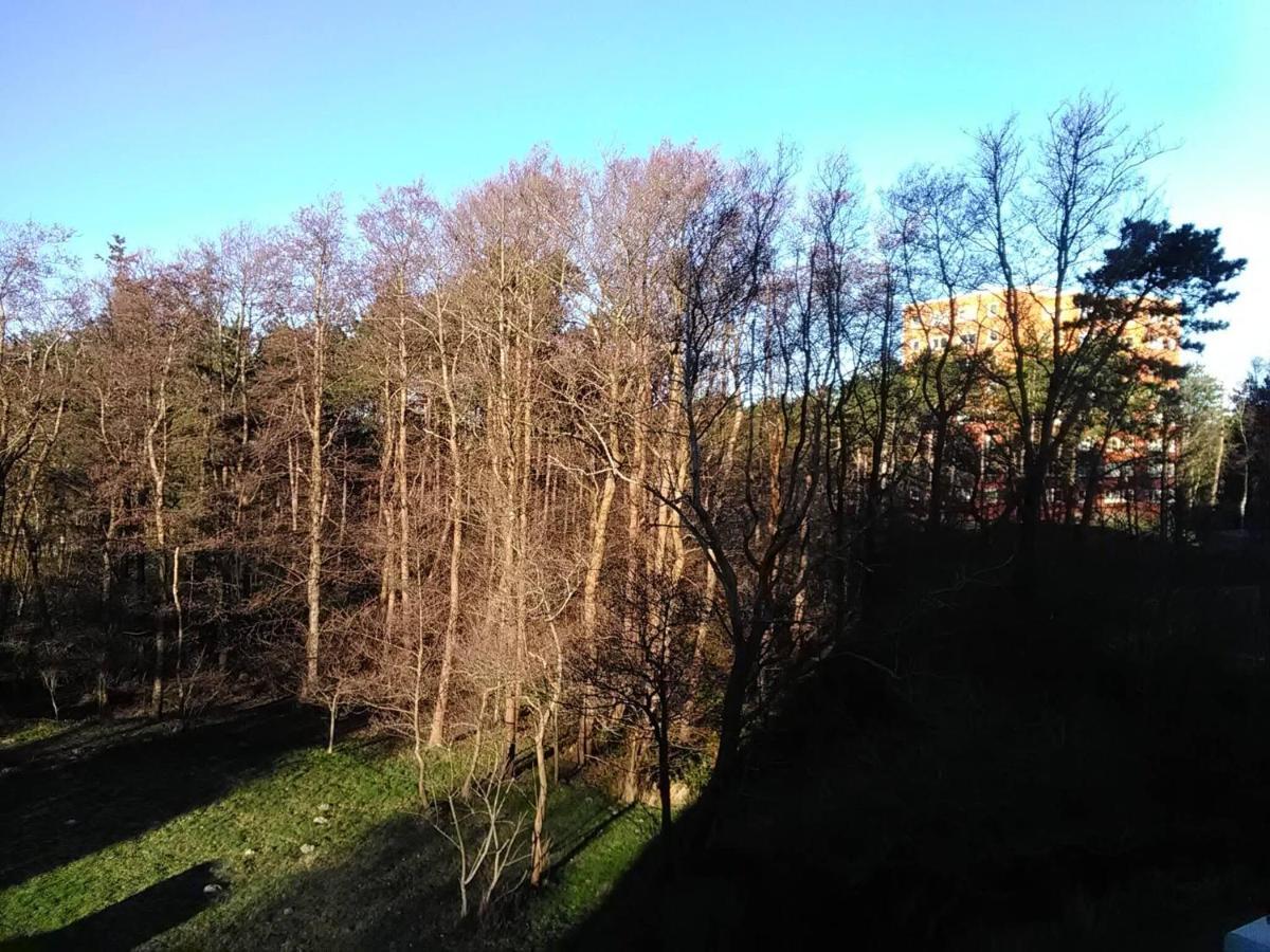 Апартаменты Seeperle 5, Stilvolle Fewo Mit Nordseeblick Санкт-Петер-Ординг Экстерьер фото